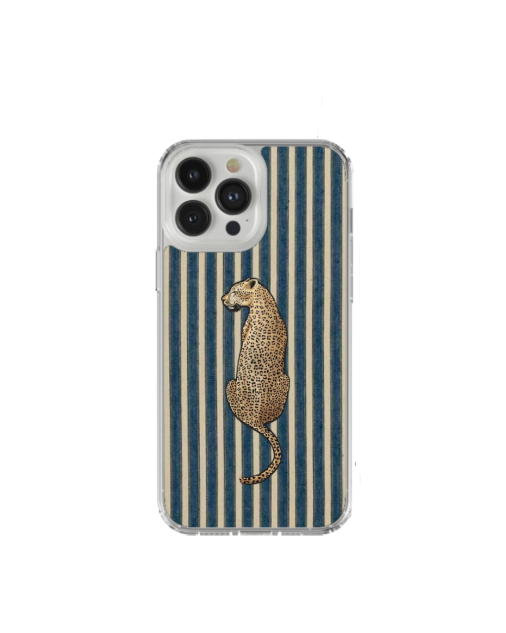 Safari Coast