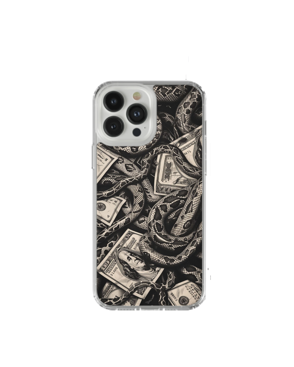 Snakes & Money